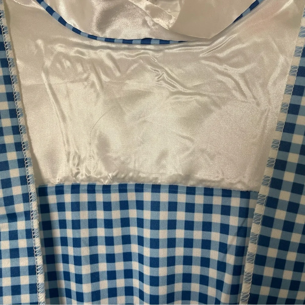 The Wizard of Oz Dorothy Costume, M
